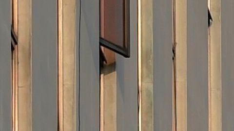 Los cuerpos policiales en México han sido criticados por su condición física.