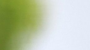 El pelotero Travis Shaw ha manifestado su desacuerdo a las medidas del equipo.