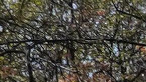 Un cine flotante que promueve el distanciamiento social llegará a Nueva York en septiembre