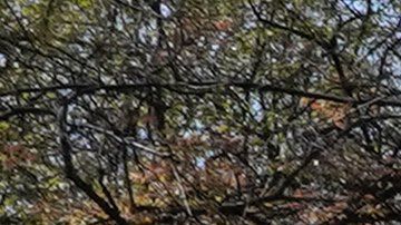 Un cine flotante que promueve el distanciamiento social llegará a Nueva York en septiembre