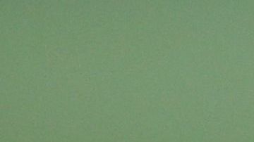 La realización exitosa del torneo “MLS is Back” sigue en duda ante la salida del FC Dallas.