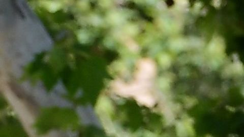 Muchas personas tienen problemas para pagar sus alquileres.