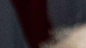 Fauci aseguró que llevaría mascarilla en sus paseos y caminatas.