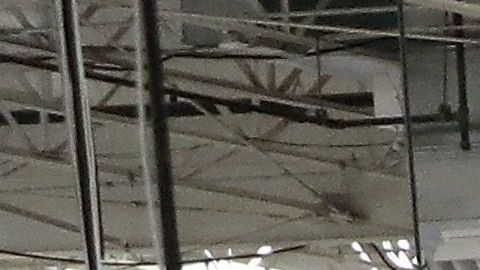 Un hombre pierde su trabajo en Florida cuando un video se hace viral por no usar cubrebocas en Costco