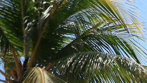 Vista exterior del hotel Clevelander de South Beach.