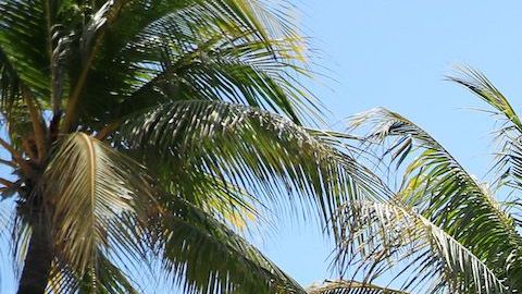 Vista exterior del hotel Clevelander de South Beach.