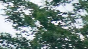 Las protestas del sábado terminaron con disturbios.