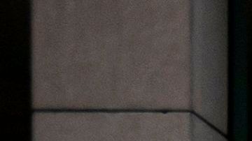 Microsoft tiendas cierre economía coronavirus