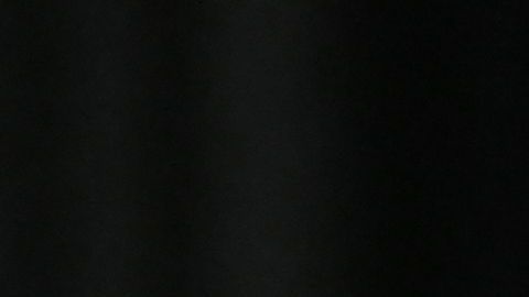 Ayuda económica Senado trabajadores Kamala Harris propuesta legisladores desempleo ingresos