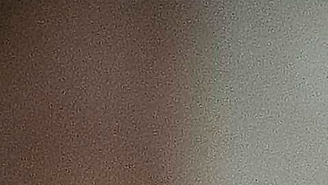 El congresista por Missouri Josh Hawley fue insultado por el comunicador.