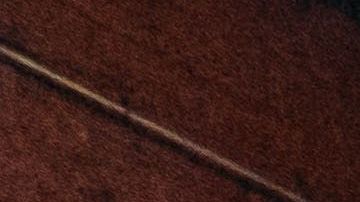 La industria de bares ha sido de las más afectadas por la pandemia.