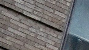 El mural de BLM irá en la Quinta Avenida.