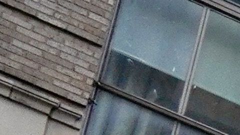 El mural de BLM irá en la Quinta Avenida.