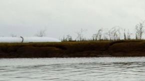 Se han instalado tres barreras flotantes en un arroyo que conecta a dos lagos.