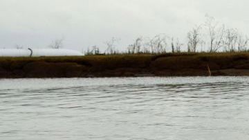 Se han instalado tres barreras flotantes en un arroyo que conecta a dos lagos.