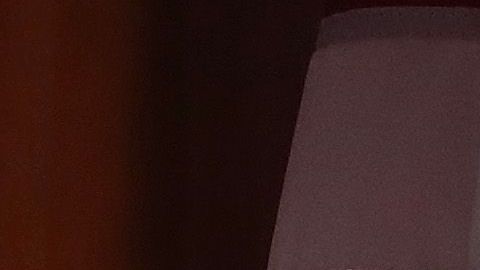 Los líderes demócratas en el Congreso en alerta por intervención extranjera en las elecciones.