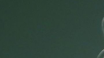 Biden lidera incluso sectores de votantes tradicionalmente republicanos.