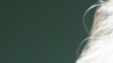 Biden lidera incluso sectores de votantes tradicionalmente republicanos.