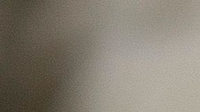 Otros 14 estados entregan este tipo de licencias sin importar estatus.