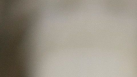 Otros 14 estados entregan este tipo de licencias sin importar estatus.