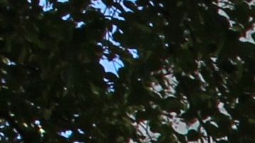 Ayuda economica cheque de estimulo dinero pobreza Estados Unidos desempleo