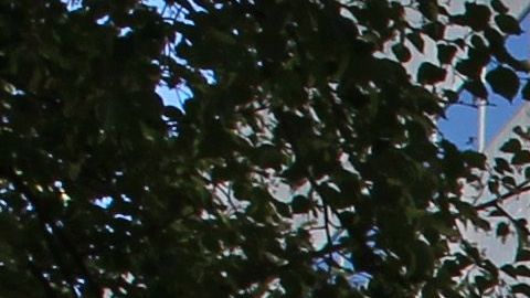 Ayuda economica cheque de estimulo dinero pobreza Estados Unidos desempleo