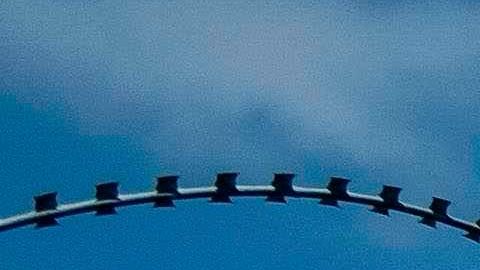 Navidad se entregó en 2017 ante las autoridades migratorias de EE.UU.