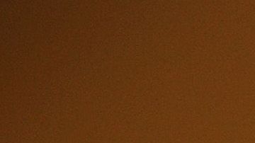 ¿En qué gastaste tu cheque?