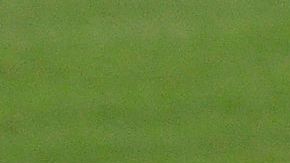 Lionel Messi lamentándose.