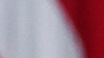 Solo el Congreso -y no el presidente- puede aprobar un nuevo cheque de estímulo.