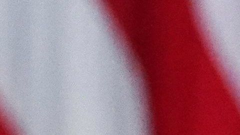 Solo el Congreso -y no el presidente- puede aprobar un nuevo cheque de estímulo.