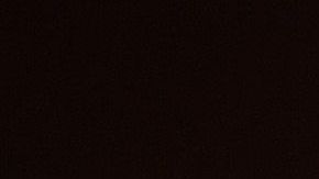 Anthony Fauci es un seguidor de los Nationals desde su llegada a Washington en 2005.