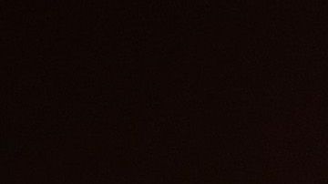 Anthony Fauci es un seguidor de los Nationals desde su llegada a Washington en 2005.