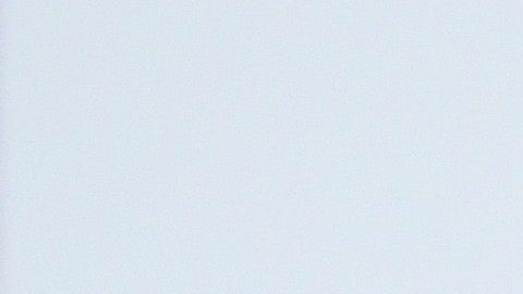 USCIS pidió al Congreso $1,200 millones para resolver sus problemas financieros.