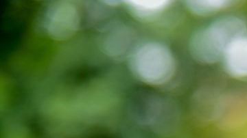 Para la mayoría resulta complicado comprar una mascarilla normal.