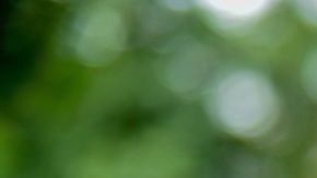 Para la mayoría resulta complicado comprar una mascarilla normal.