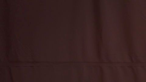 Logo de los Washington Redskins.