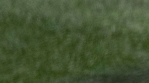 Didi Gregorius jugará todo el tiempo con la mascarilla.