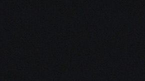 Los informes permitirán a Biden hacer una criba de candidatas y conversar con las que queden.