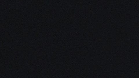 Los informes permitirán a Biden hacer una criba de candidatas y conversar con las que queden.