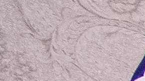 El fiscal general William Barr anunció la dentención de varios miembros de la Mara Salvatrucha.