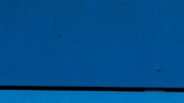 Walmart no abrirá sus puertas el Día de Acción de Gracias.