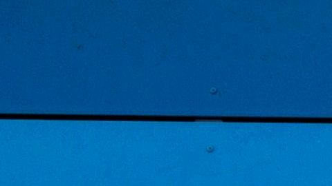 Walmart no abrirá sus puertas el Día de Acción de Gracias.