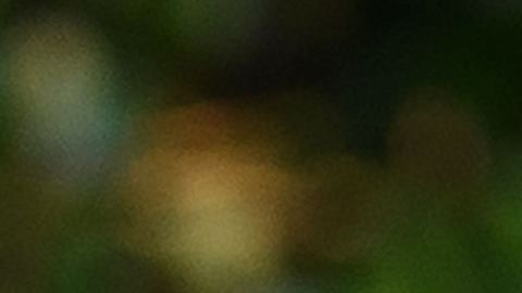 El último mitin de Trump (en Tulsa) fue visto como un fracaso de campaña.