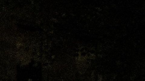 Agencias federales de la ley están deteniendo manifestantes en Portland.