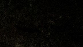 Agencias federales de la ley están deteniendo manifestantes en Portland.