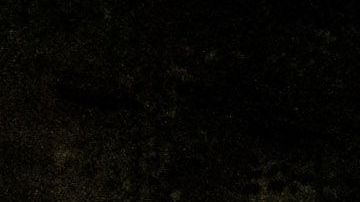 Agencias federales de la ley están deteniendo manifestantes en Portland.