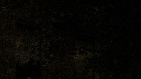 Agencias federales de la ley están deteniendo manifestantes en Portland.