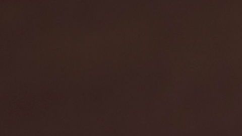 Didi Gregorius será uno de los peloteros que juegue con mascarilla de tiempo completo.