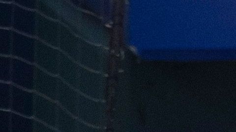 Miami-marlins-Coronavirus